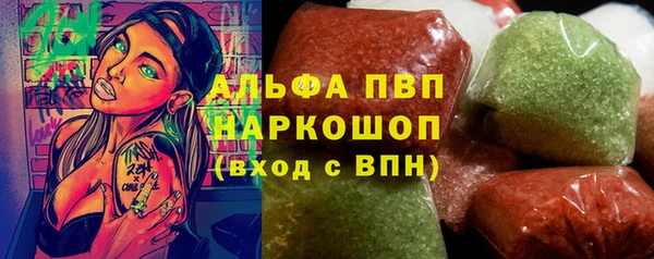 гашик Алексин