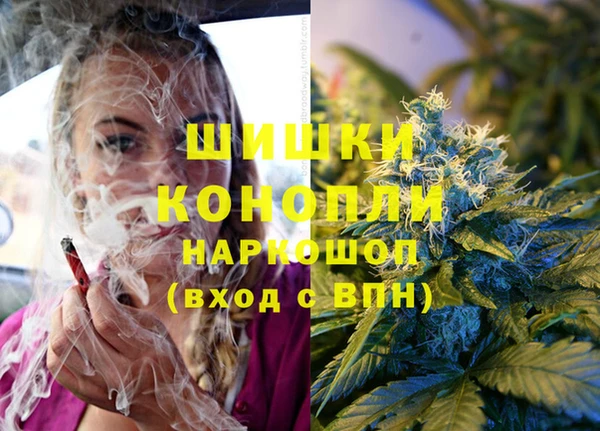 крисы Нягань